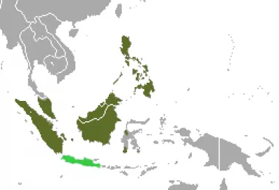 Malayan Civet habitat map