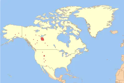 Bisonte americano mappa dell'habitat