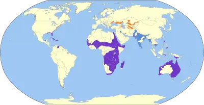 Glossy Ibis habitat map