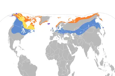Snow Bunting habitat map