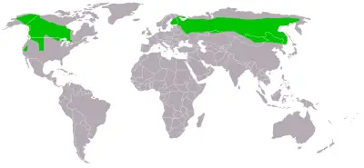 Great Grey Owl habitat map