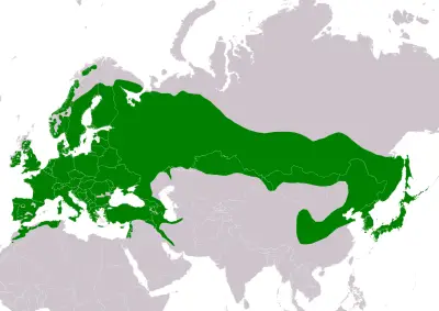 Eurasian Jay habitat map