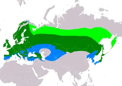 Eurasian Bullfinch habitat map