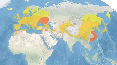 Eurasian Wren habitat map