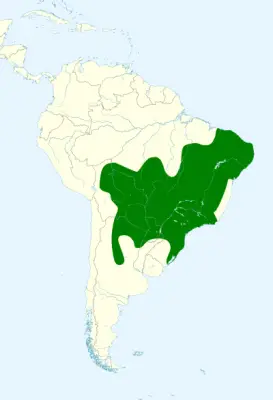 Turquoise-fronted amazon habitat map