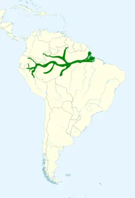 Festive amazon habitat map