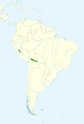 Black-winged parrot habitat map
