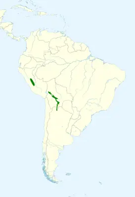 Ocellated piculet habitat map