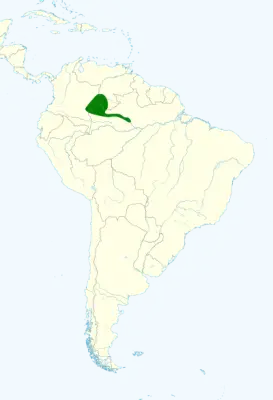 Orinoco piculet habitat map