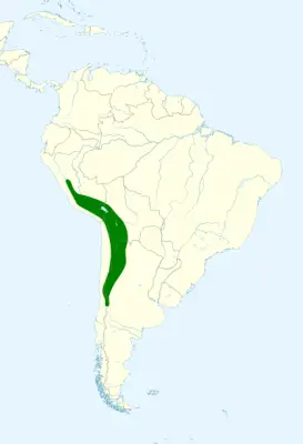 Black siskin habitat map