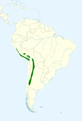 Thick-billed siskin habitat map