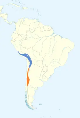Yellow-rumped siskin habitat map