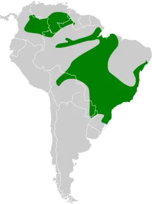 Versicolored emerald habitat map