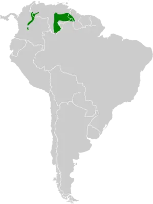 Amazilia viridigaster mapa del hábitat
