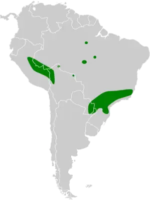 Silky-tailed nightjar habitat map