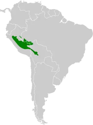 Black-throated toucanet habitat map