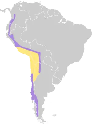 White-throated hawk habitat map