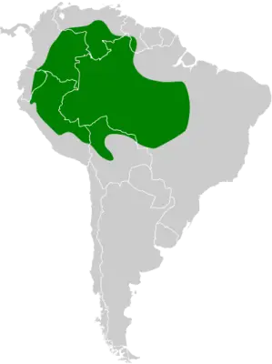 Amazonian umbrellabird habitat map