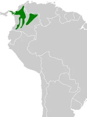 Папуга-горобець панамський карта середовища проживання