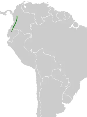 Yellow-breasted antpitta habitat map