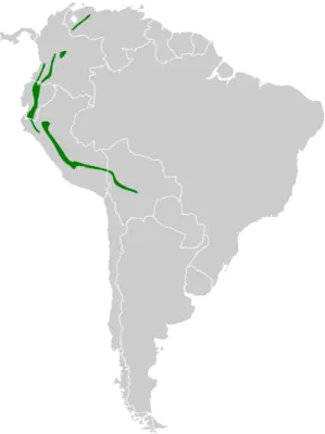 Undulated antpitta habitat map