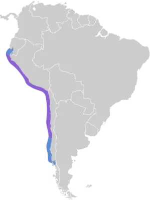 Peruvian pelican habitat map