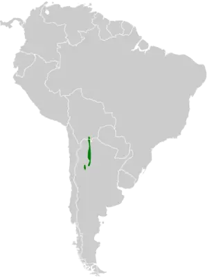 Tucumán mountain finch habitat map