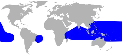 Lesser frigatebird habitat map