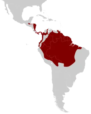 Tigana mapa del hábitat