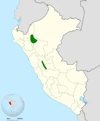 Chestnut antpitta habitat map
