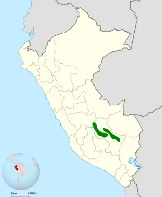 Urubamba antpitta habitat map