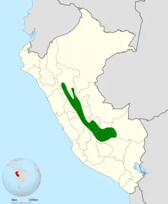 Masked fruiteater habitat map