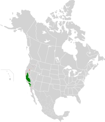Tricolored blackbird habitat map