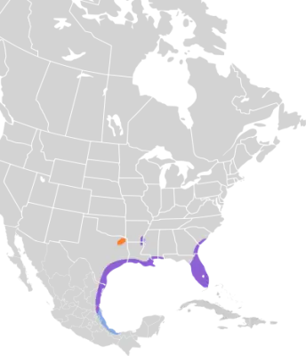 Mottled duck habitat map