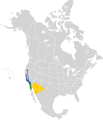 Lawrence's goldfinch habitat map
