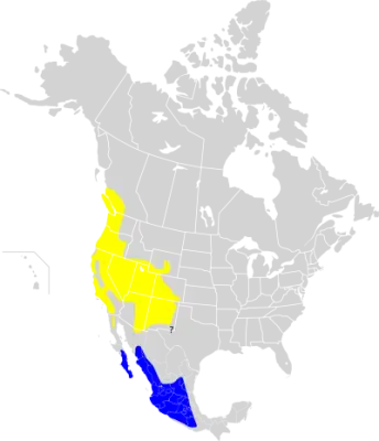 Black-throated gray warbler habitat map