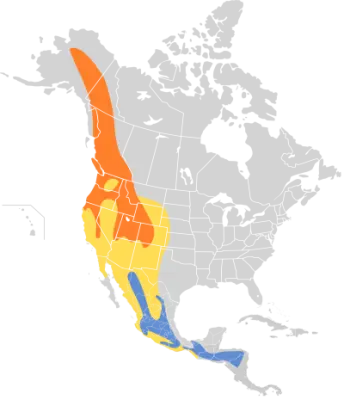 Hammond's flycatcher habitat map