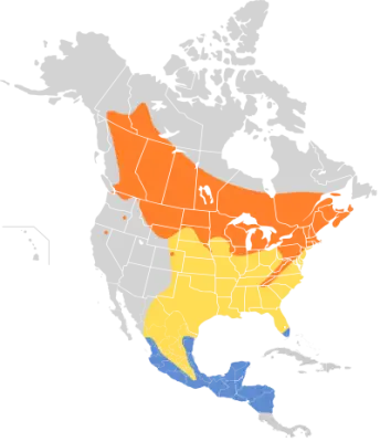 Least flycatcher habitat map