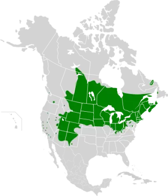 Northern leopard frog habitat map