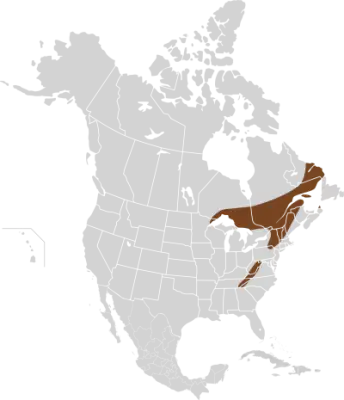 Microtus chrotorrhinus mappa dell'habitat
