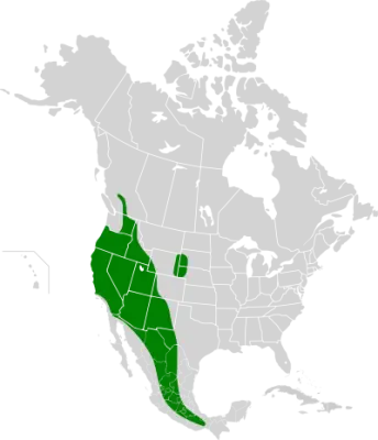 Fringed myotis habitat map
