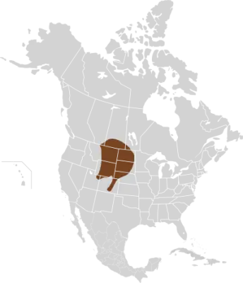 Olive-backed pocket mouse habitat map
