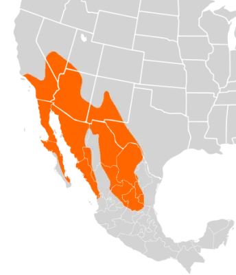 Cactus mouse habitat map