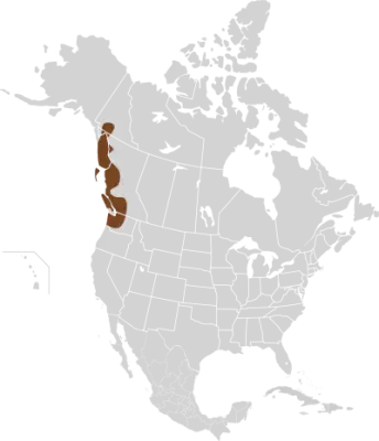 Northwestern deer mouse habitat map