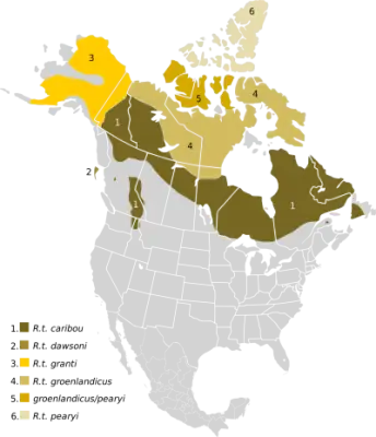Barren-ground caribou habitat map