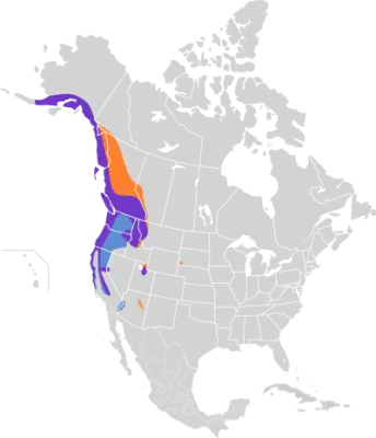 Pacific wren habitat map
