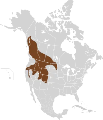 Western jumping mouse habitat map