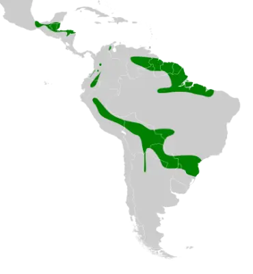 Orange-breasted falcon habitat map