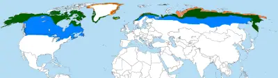 Gyrfalcon habitat map