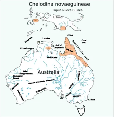 Зміїношия черепаха новогвінейська карта середовища проживання